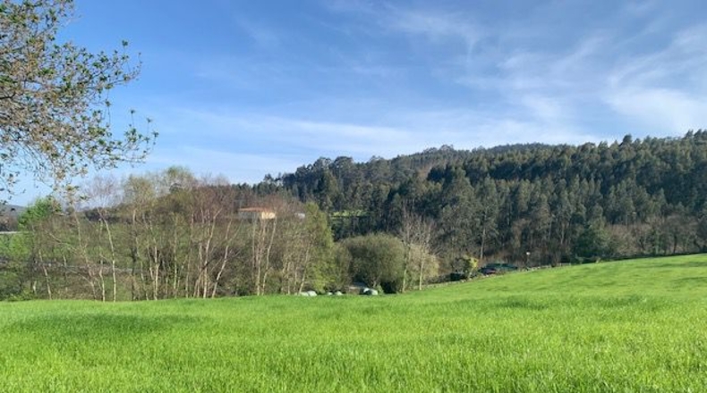 Asturias - Venta las Ranas - 9239m2
