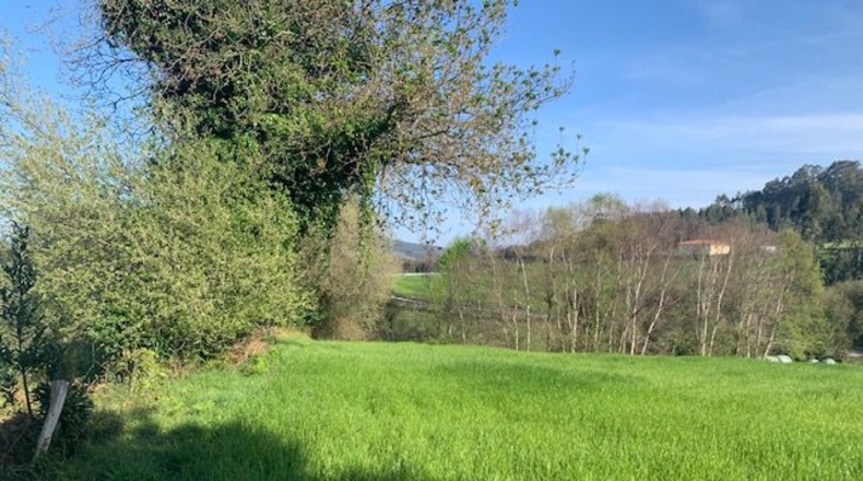 Asturias - Venta las Ranas - 9239m2