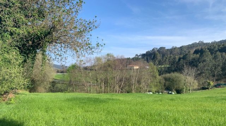 Asturias - Venta las Ranas - 9239m2