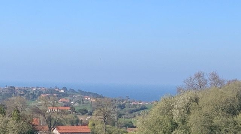 Asturias - Venta las Ranas - 9239m2