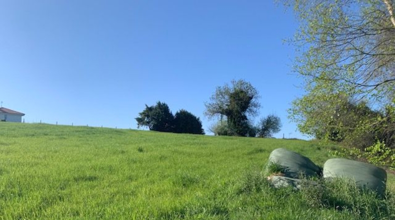 Asturias - Venta las Ranas - 9239m2