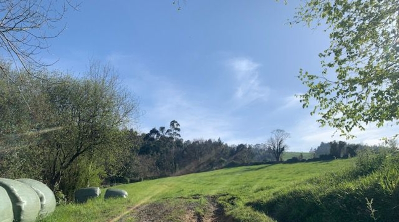 Asturias - Venta las Ranas - 9239m2