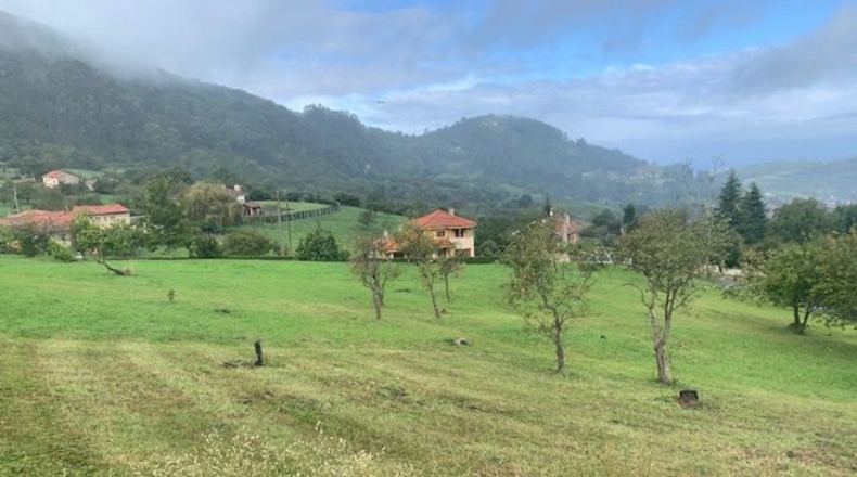 Asturias - Ceñal - 1345m2