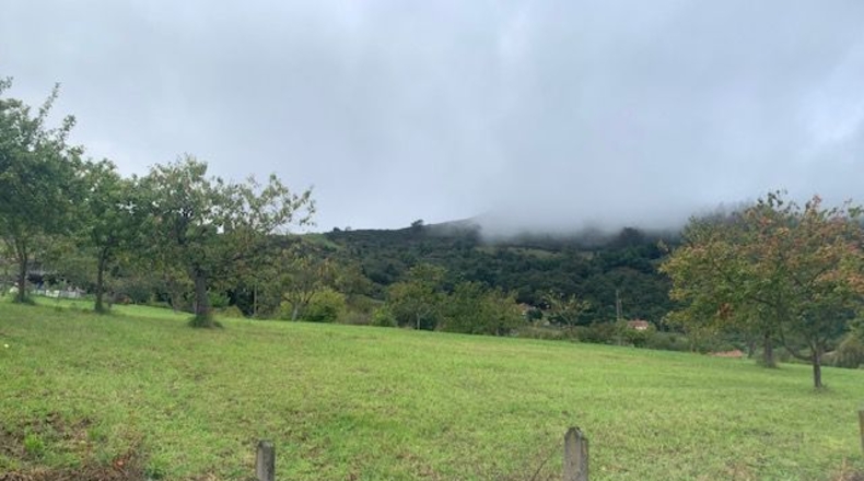 Asturias - Ceñal - 1345m2