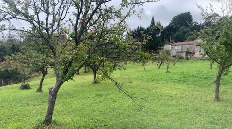 Asturias - Ceñal - 1345m2