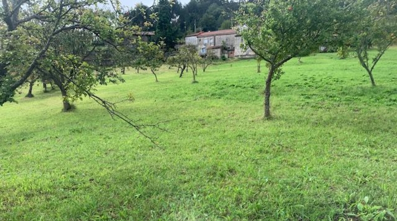 Asturias - Ceñal - 1345m2