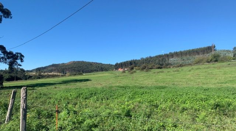 Asturias - La Pedrera - 1512m2