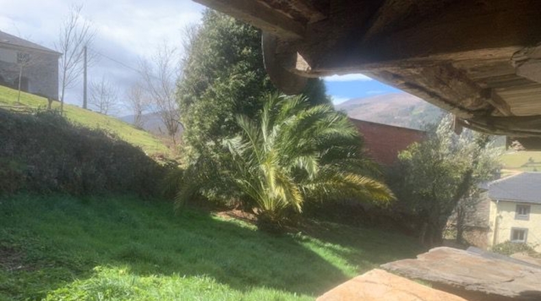 Asturias - Villayón - 8800m2