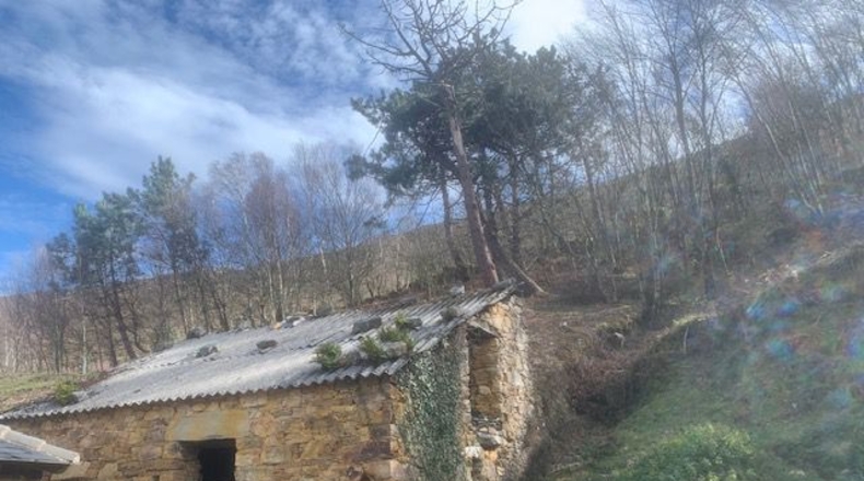 Asturias - Villayón - 8800m2