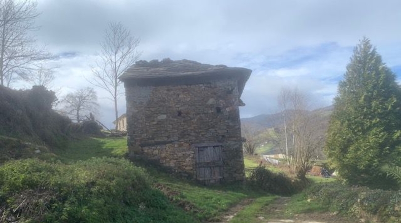 Asturias - Villayón - 8800m2