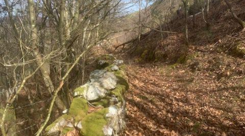 Asturias - Villayón - 8800m2
