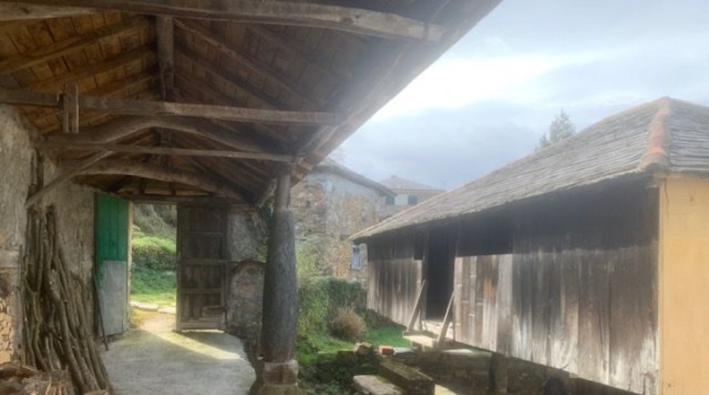 Asturias - Villayón - 8800m2