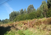 Non-developable land for sale in Naves ref: TR109654 photo