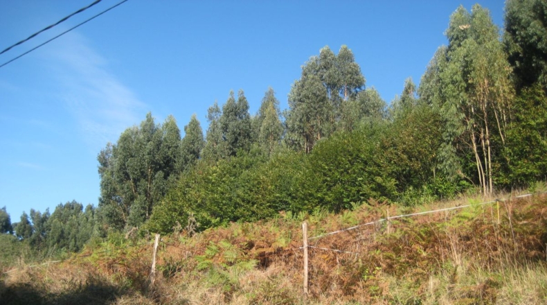 Asturias - Naves - 1250m2