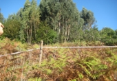 Non-developable land for sale in Naves ref: TR109654 photo