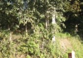 Non-developable land for sale in Naves ref: TR109654 photo