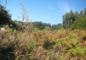 Non-developable land for sale in Naves ref: TR109654 photo