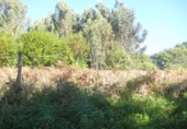 Non-developable land for sale in Naves ref: TR109654 photo