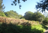 Non-developable land for sale in Naves ref: TR109654 photo