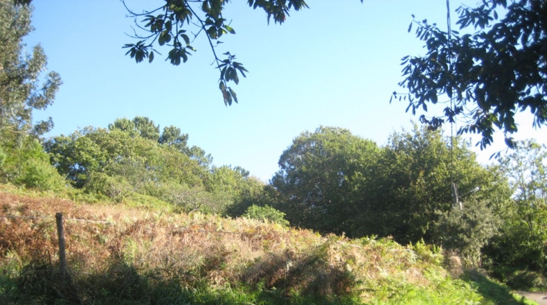 Asturias - Naves - 1250m2