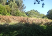 Non-developable land for sale in Naves ref: TR109654 photo