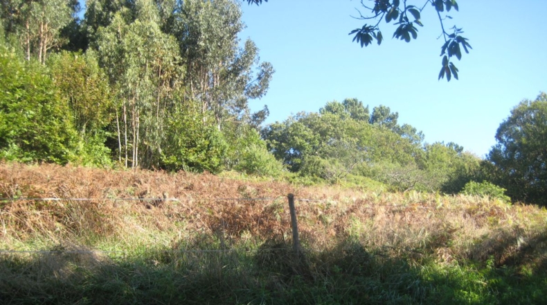 Asturias - Naves - 1250m2