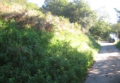 Non-developable land for sale in Naves ref: TR109654 photo