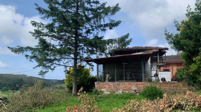 Asturias - El Cardusu - 505m2