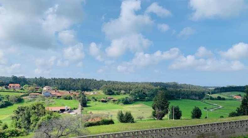 Asturias - El Cardusu - 505m2
