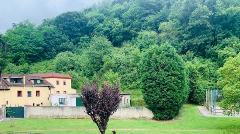 Asturias - Oviedo - 250m2