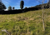Terreno no urbanizable en venta en San Martín del Mar ref: TR351007 foto