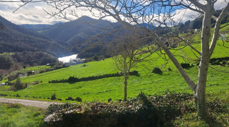 Asturias - El Villar de Serandías - 125m2
