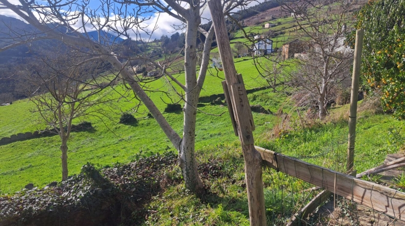 Asturias - El Villar de Serandías - 125m2