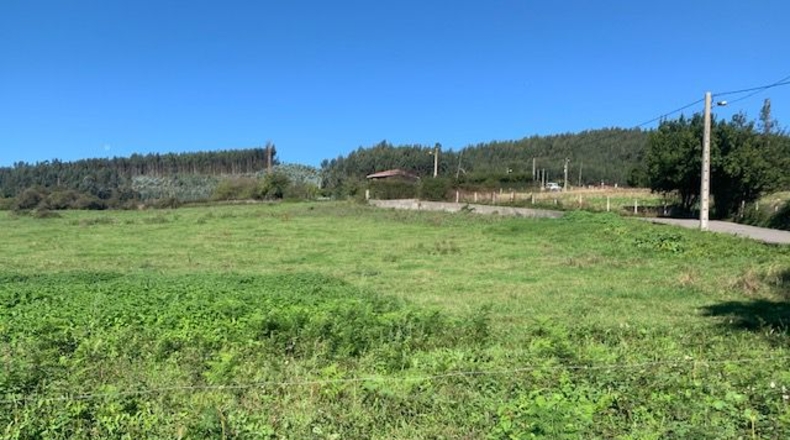 Asturias - Gijón - 1512m2