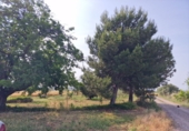 Rural estate for sale in Fraga ref: TR235210 photo