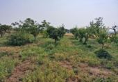 Rural estate for sale in Fraga ref: TR235210 photo