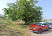 Rural estate for sale in Fraga ref: TR235210 photo