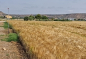 Rural estate for sale in Fraga ref: TR235210 photo