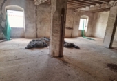 Chalet independiente con terreno en venta en Sarroca de Lleida ref: TR356357 foto