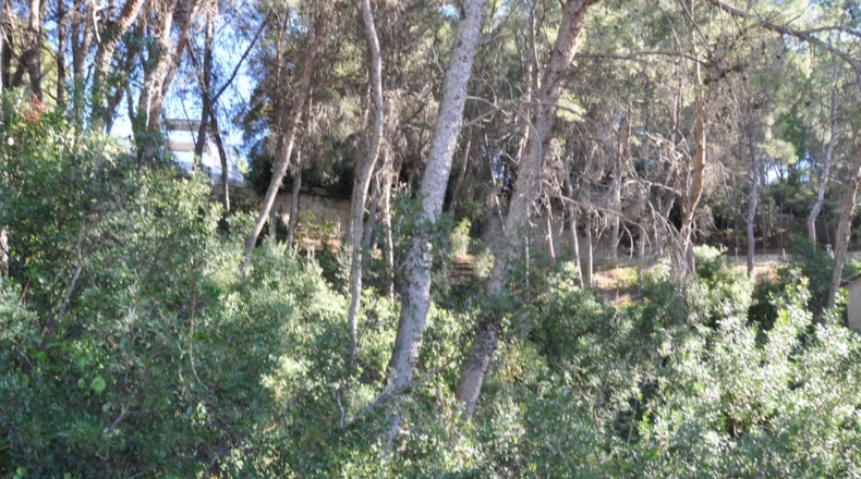 Valencia - Chiva - 1454m2