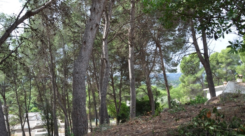 Valencia - Chiva - 1454m2