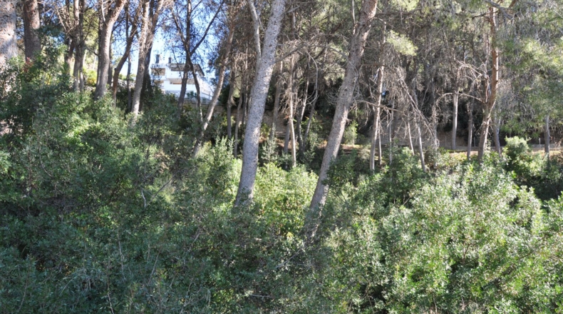 Valencia - Chiva - 1454m2