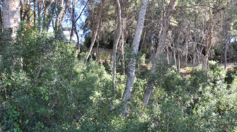 Valencia - Chiva - 1454m2