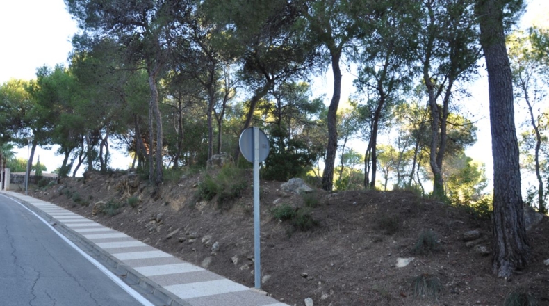 Valencia - Chiva - 1563m2