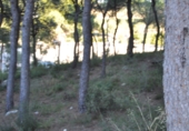 Parcela urbanizable en venta en Chiva ref: TR109928 foto