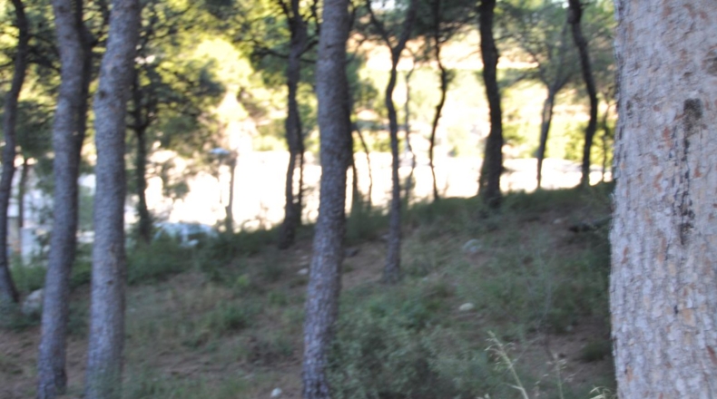 Valencia - Chiva - 1563m2