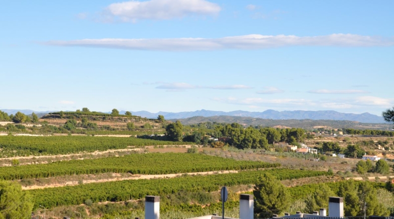 Valencia - Chiva - 1563m2