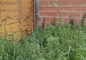 Parcel·la urbanitzable en venda a Terrassa ref.: TR234245 foto