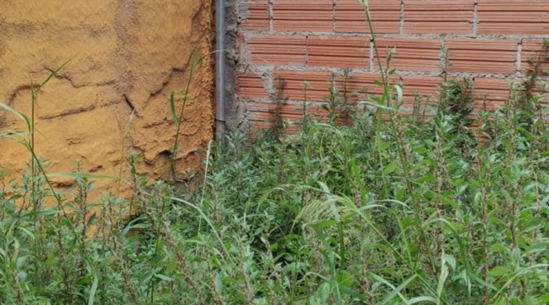Barcelona - Terrassa - 90m2