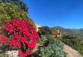 Finca rústica en venta en Almuñécar ref: TR264452 foto